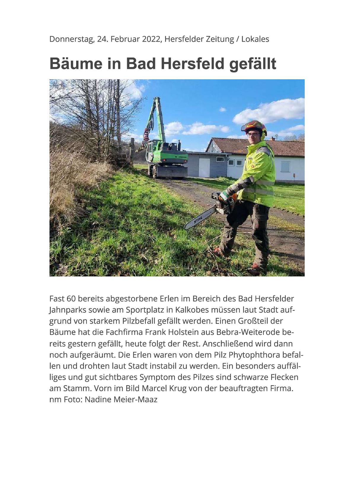 Baumfällarbeiten am Sportgelände